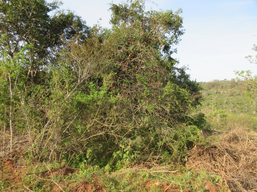 0 Bedroom Property for Sale in Bathurst Eastern Cape